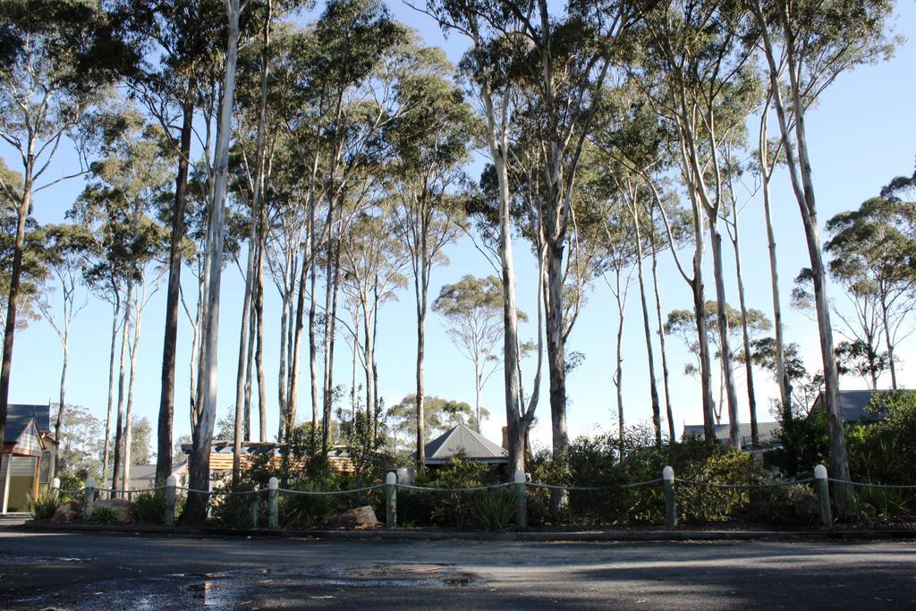 Waverley House Cottages Lakes Entrance Exteriör bild